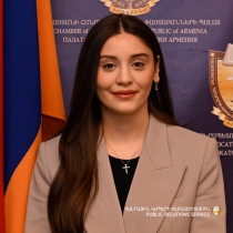 Ani Shirak Torosyan